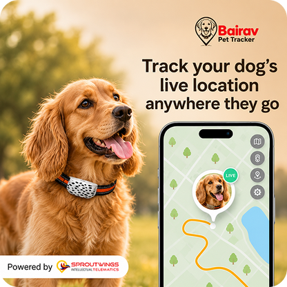 Bairav Pet Tracker